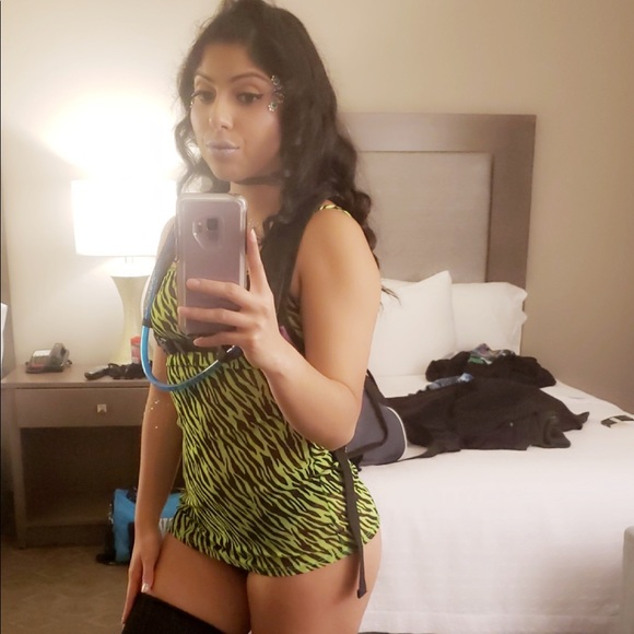 Zebra Mesh Mini Dress - Picture 2 of 3